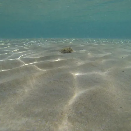 Iris - Luxury Traditional Beachfront With Swimming Pool